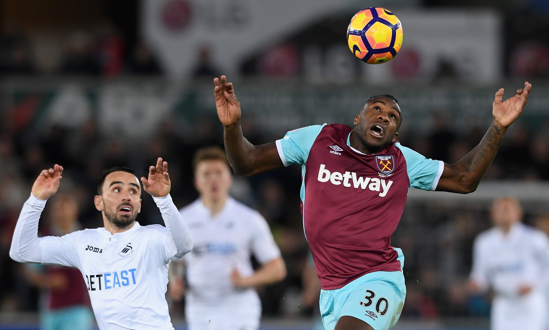 内从多个固 内从多个固